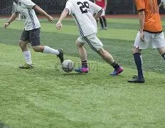 彩市风向标,双色球,期独家预测,大发快三彩票会员登录入口,dafa大发彩票官网,大发彩票dafa