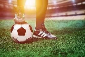 双色球,期必中秘籍,红蓝双色神,大发快三彩票会员登录入口,dafa大发彩票官网,大发彩票dafa