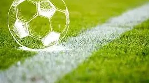 【智谋诸葛】2025138期双色球红球精选：06、22、24，揭秘必中红球秘籍！