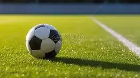 【玄机解码】福彩3D第341期五行秘术探秘，024号码胆石大揭秘！