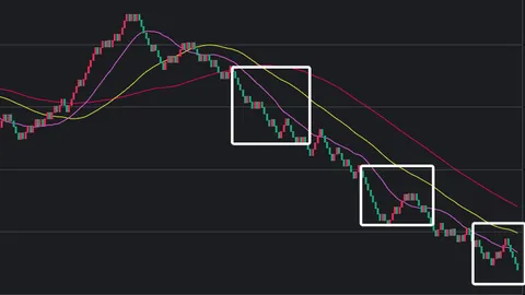 第2026053期 大乐透2026053期专家质合推荐及前区