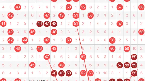 大乐透期号专家推荐：质合分析优化投注策略