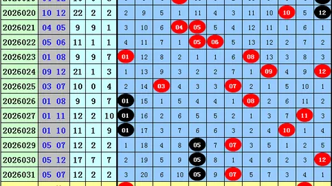 大乐透326105期专家推荐：快快快快豹子组三组六分析