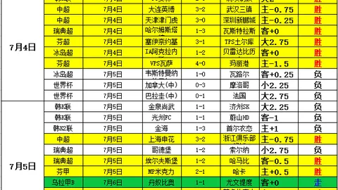 大发彩票官网 165333